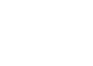 Hy-Line do Brasil